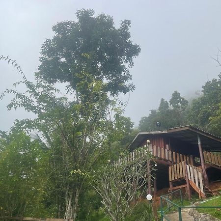 Forest Guesthouse Samoeng Bagian luar foto