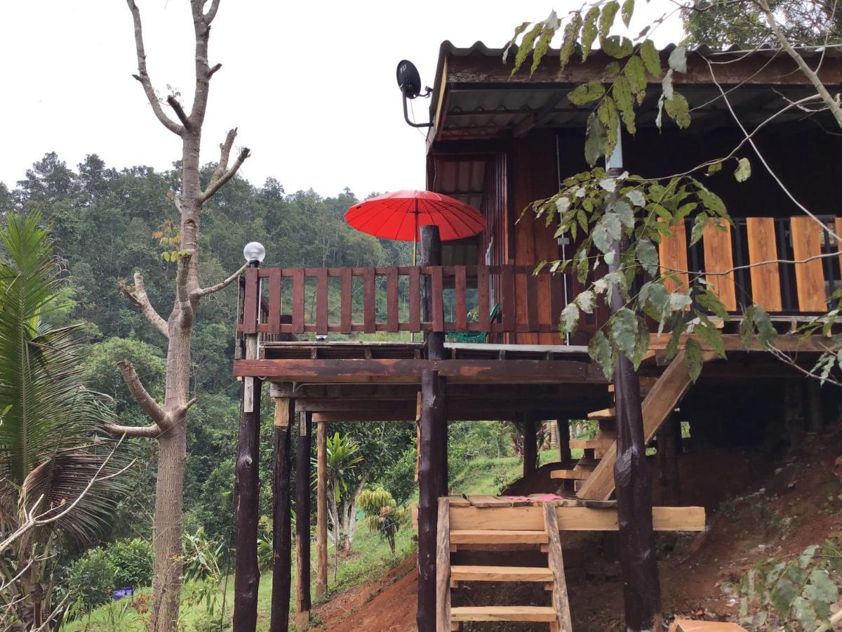 Forest Guesthouse Samoeng Bagian luar foto