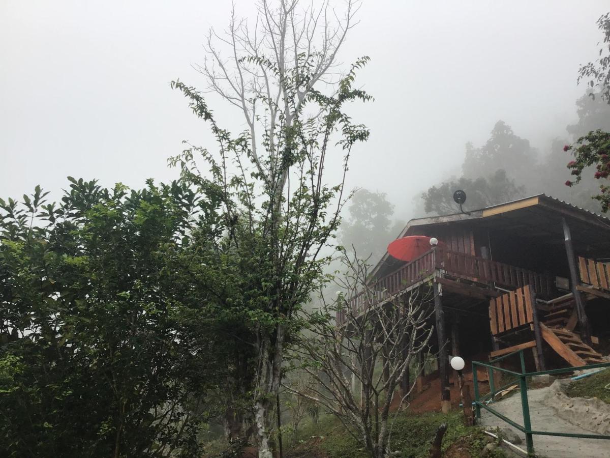 Forest Guesthouse Samoeng Bagian luar foto