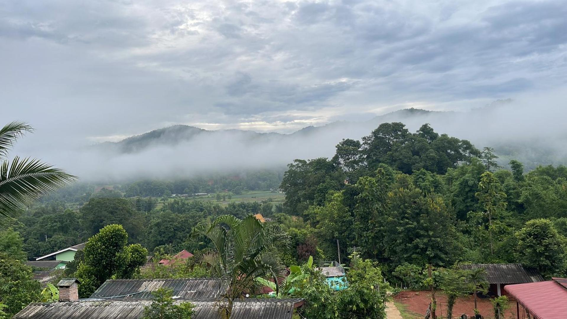 Forest Guesthouse Samoeng Bagian luar foto