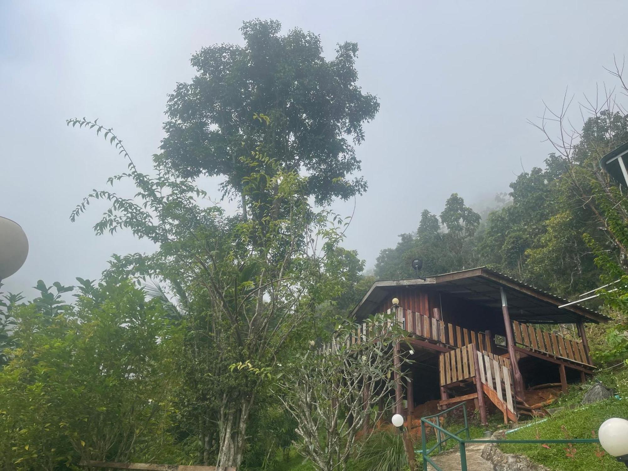 Forest Guesthouse Samoeng Bagian luar foto